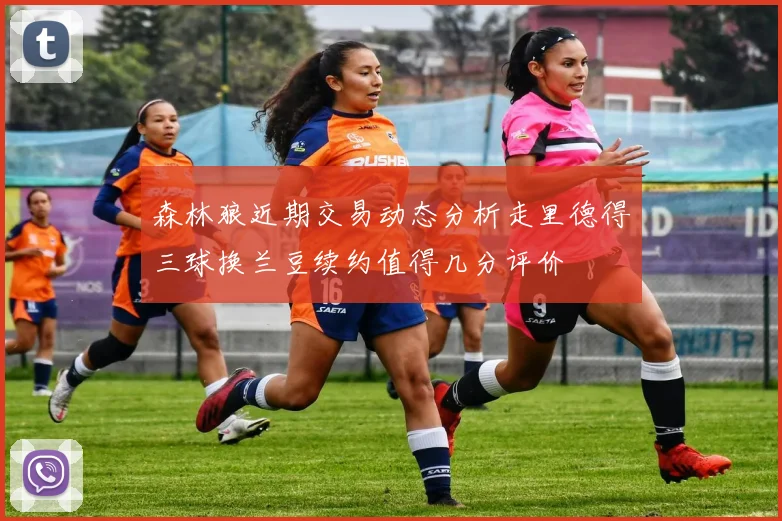 森林狼近期交易动态分析走里德得三球换兰豆续约值得几分评价