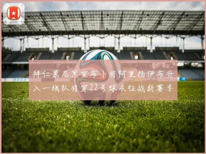 拜仁慕尼黑宣布小将阿里扬伊布升入一线队将穿22号球衣征战新赛季
